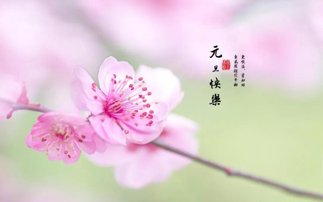å¾®ä¿¡åœ–ç‰‡_20200101093021.jpg