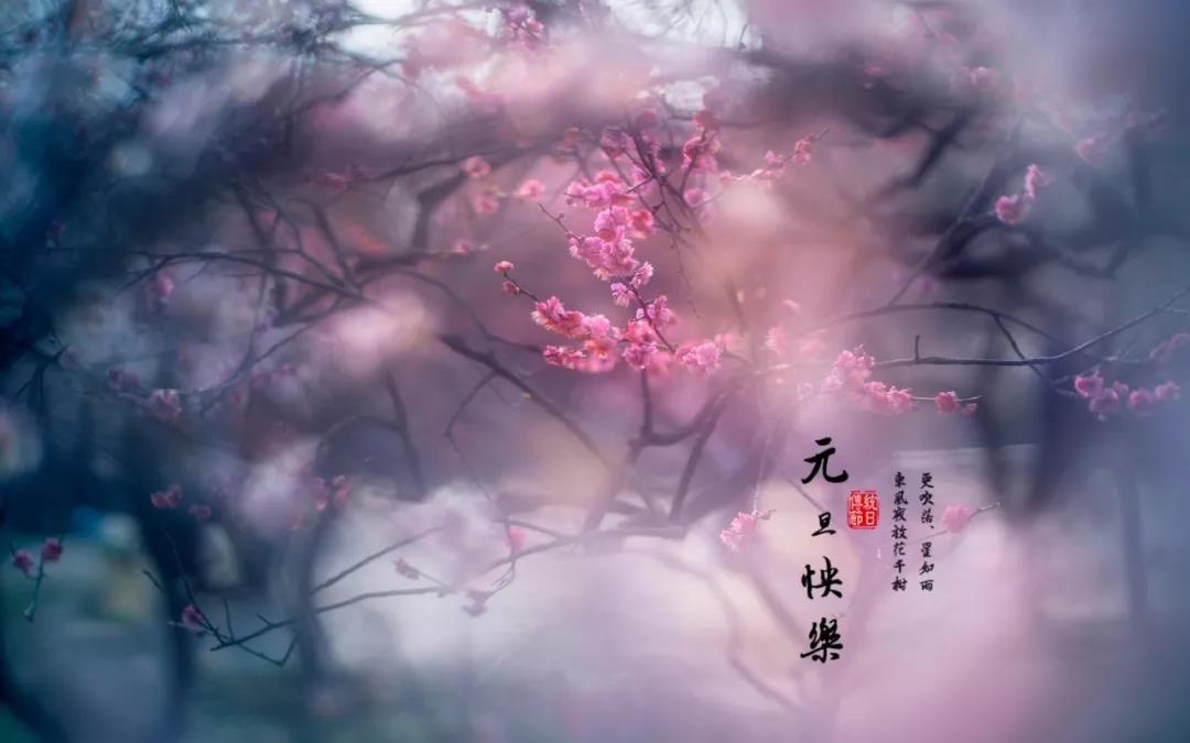 å¾®ä¿¡åœ–ç‰‡_20200101093024.jpg